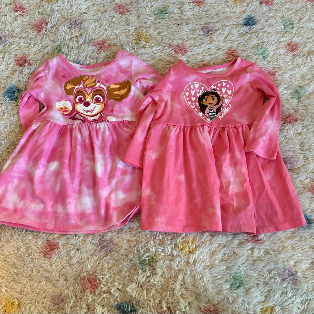 Never Worn Baby Girls Pink Paw Patrol and Gabby’s Dollhouse Dress Set - 12M